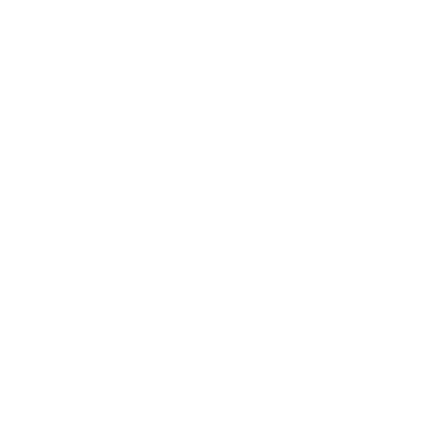 Schlei Feierei